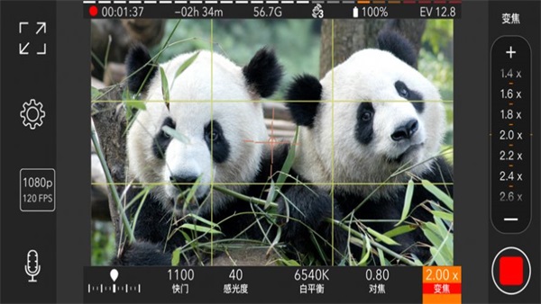 promovie专业摄像机app5