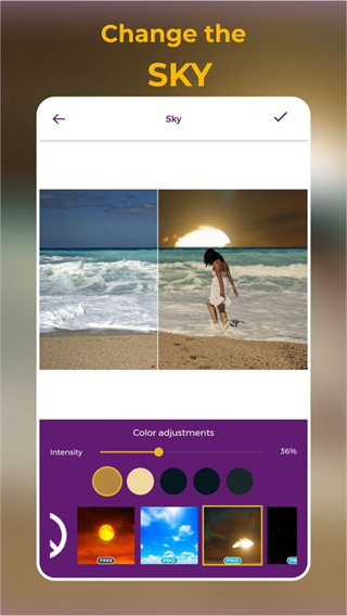 zoetropic软件4
