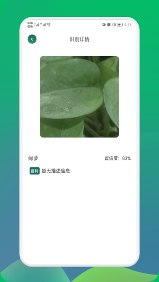 小园丁1