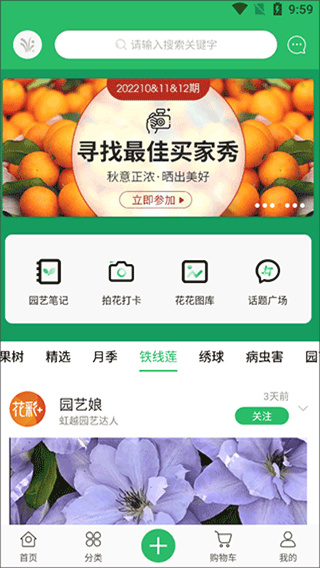 虹越4