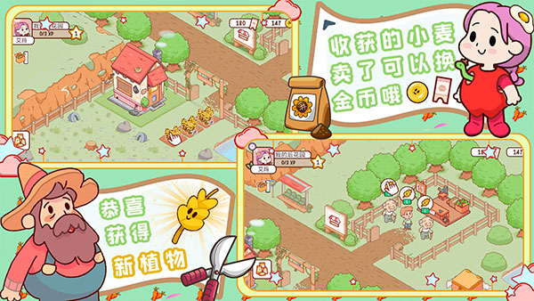 我的迷你农场最新版5