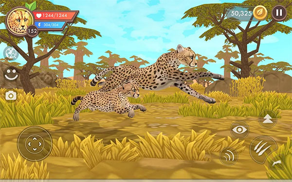 WildCraft1