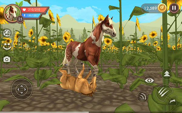 WildCraft3