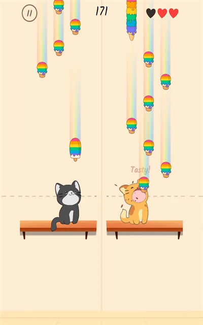 猫咪二重奏(duet cats)1