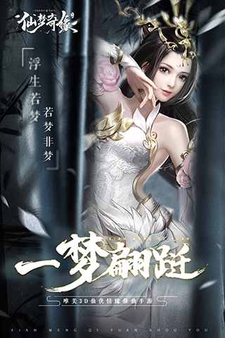 仙梦奇缘1