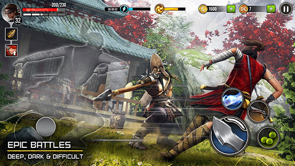 Ninja Ryoku4