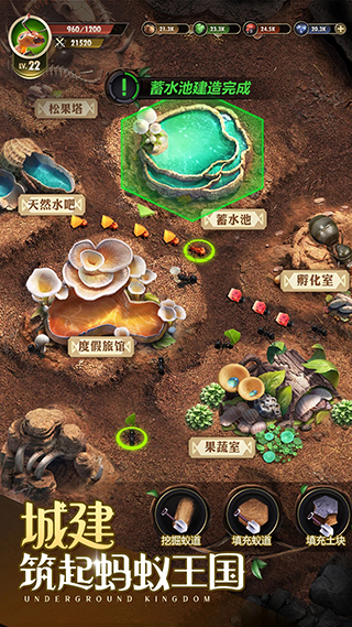 小小蚁国应用宝版5