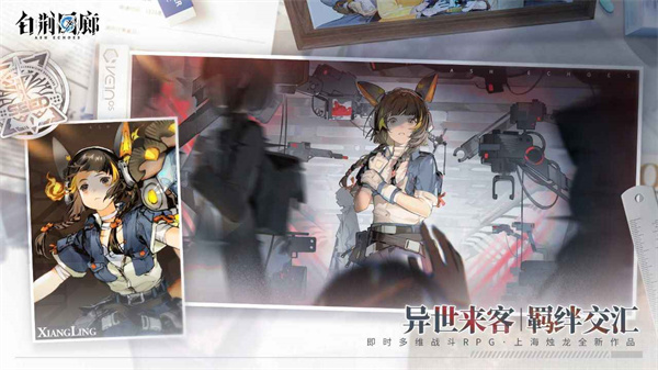 白荆回廊官方正版2