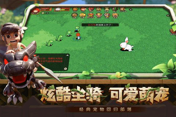 究极宝贝小米版1