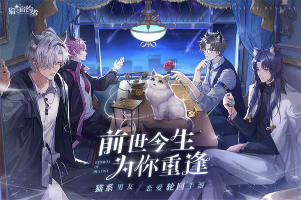 猫之宿约者九游版1