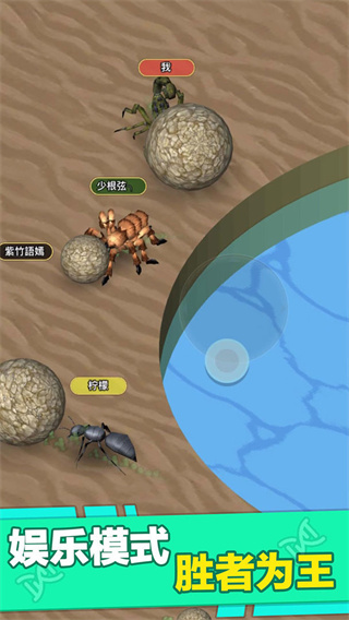 昆虫进化大乱斗手机版1