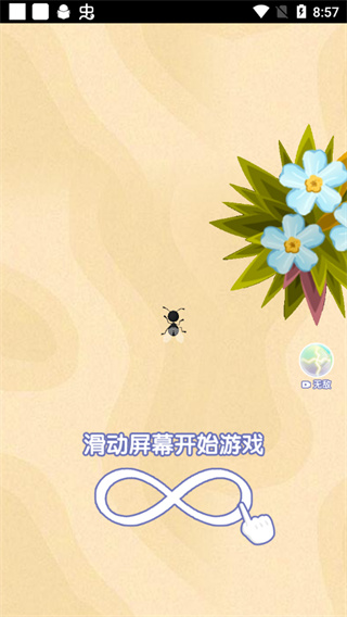 召唤神凤去广告破解版4