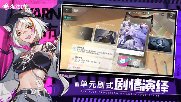 猫之城测试服3