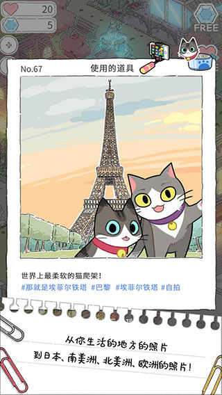 猫友圈猫咪的旅行1