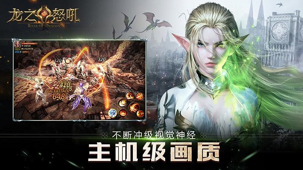 龙之怒吼无限钻石破解版3