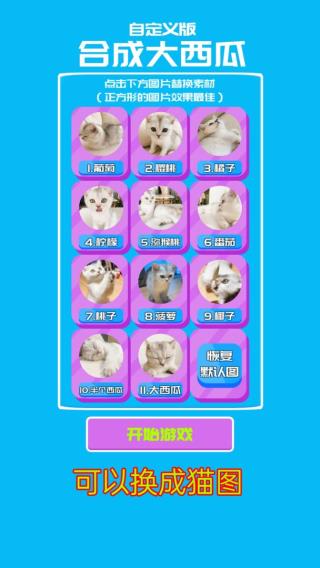 合成大西瓜自定义版3