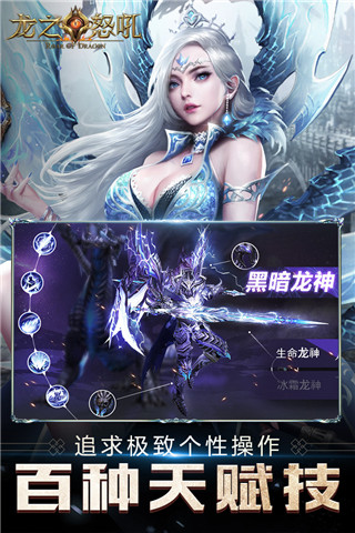 龙之怒吼华为版3