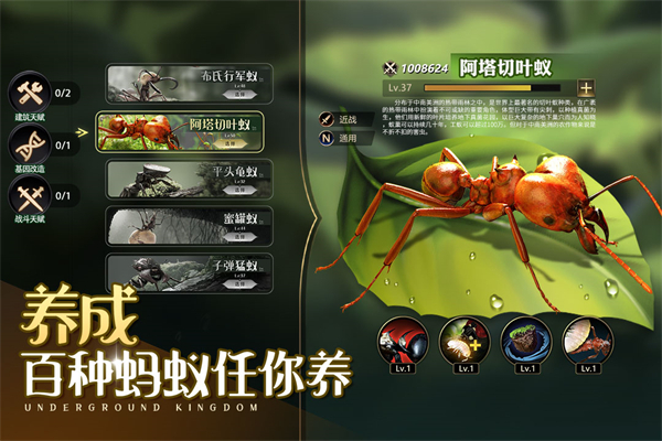 小小蚁国oppo版本1