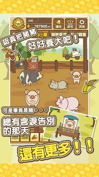 养猪场MIX2023最新版5