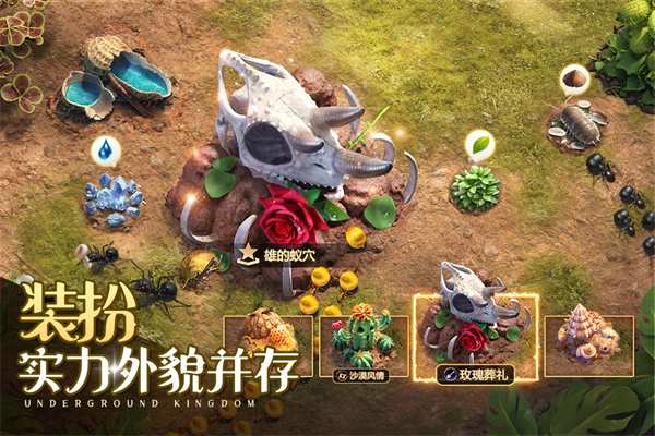 小小蚁国oppo版本4
