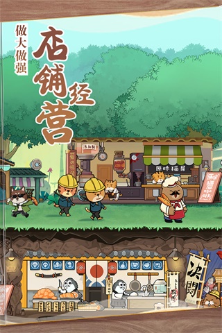 猫宅975
