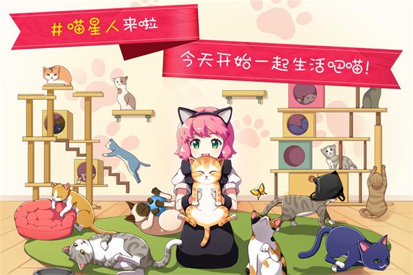 猫猫咖啡屋1
