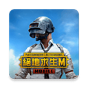 和平精英台服