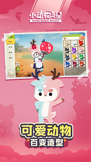 小动物之星不用实名认证版1