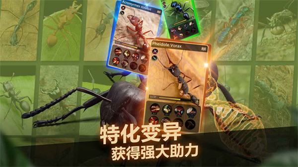 小小蚁国华为版2