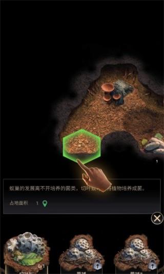 蚂蚁地下王国5