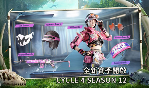 和平精英台服5
