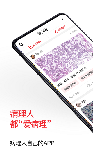 爱病理1