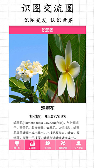拍照识物2