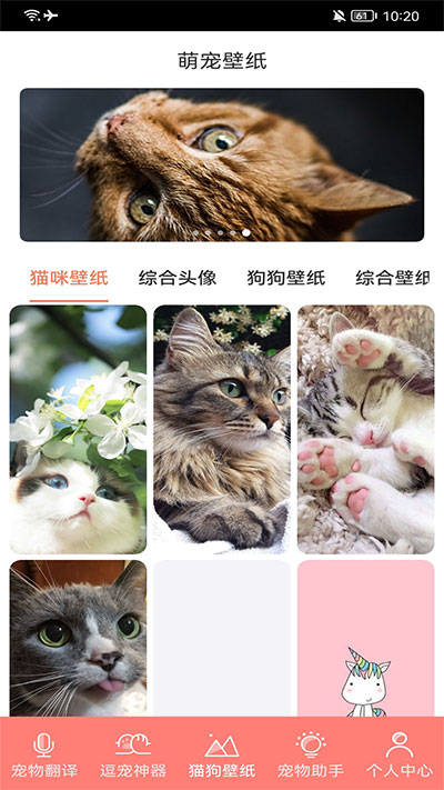 萌宠日常助手3