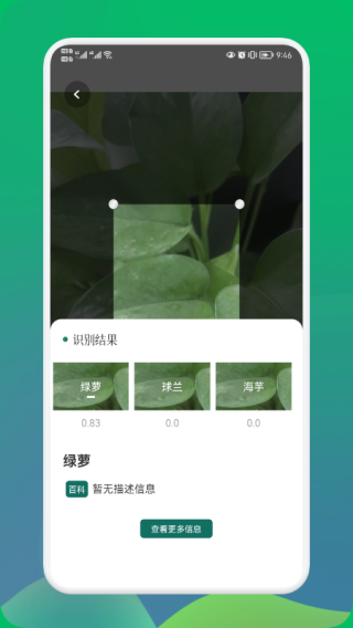 小园丁app2