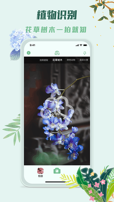 识花君植物识别4
