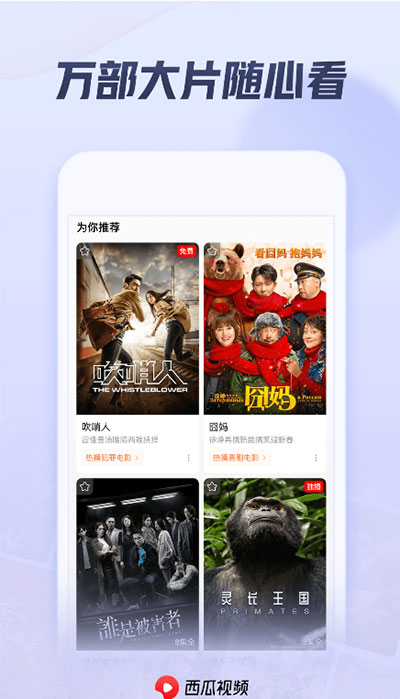 西瓜视频谷歌版5