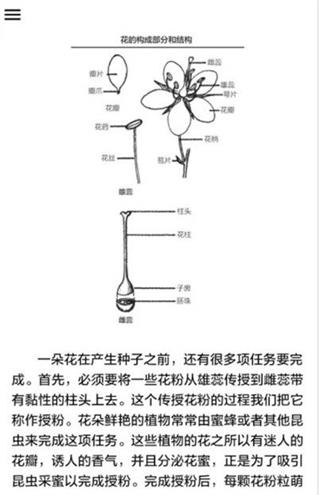 野外植物识别手册5