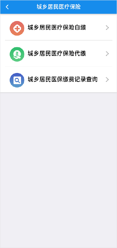 湖北税务app2