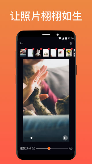pixaloop软件免费版2