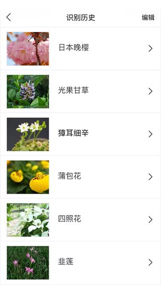 识花app4