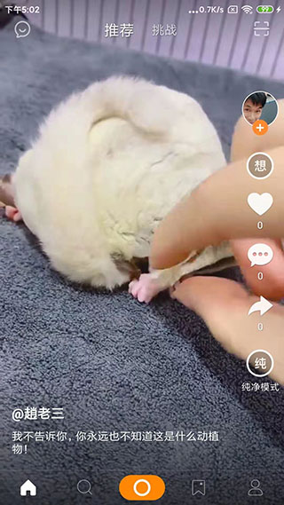 高手短视频1
