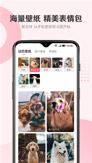 68宠物app2