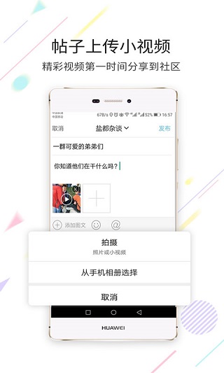 自贡在线4