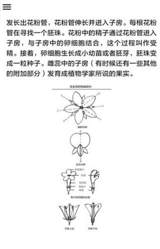 野外植物识别手册3