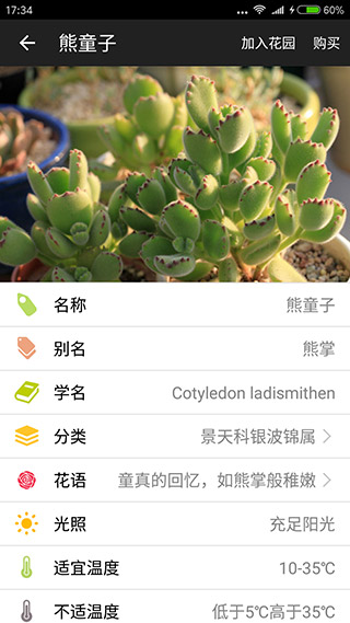 爱花草3