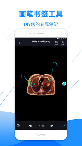 影像解剖图谱app5