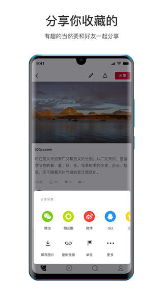 花瓣网官方版3