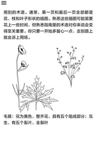 野外植物识别手册4