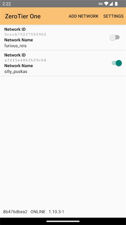 Zerotier One安卓版4
